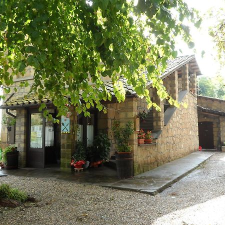 מלון Civitella dʼAgliano Mola Solis מראה חיצוני תמונה