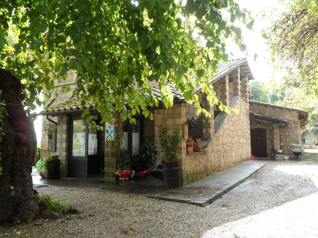מלון Civitella dʼAgliano Mola Solis מראה חיצוני תמונה
