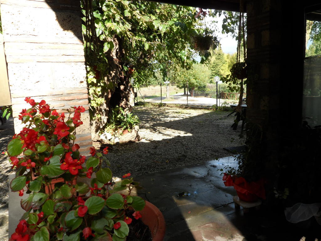מלון Civitella dʼAgliano Mola Solis מראה חיצוני תמונה